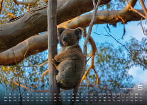 Australien - das Land der Kängurus - 2027 - Kalender