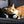 Miau - Unsere Stubentiger - Der Katzenkalender - 2027 - Kalender