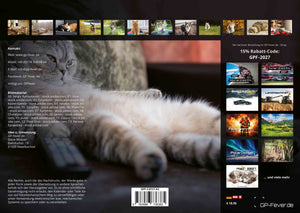Miau - Unsere Stubentiger - Der Katzenkalender - 2027 - Kalender