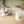 Miau - Unsere Stubentiger - Der Katzenkalender - 2027 - Kalender