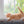 Miau Kids - kleine Tiger ganz groß - Der Katzenkalender - 2027 - Kalender