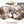 Miau Kids - kleine Tiger ganz groß - Der Katzenkalender - 2027 - Kalender