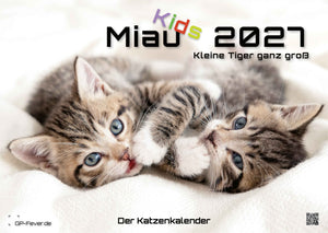 Miau Kids - kleine Tiger ganz groß - Der Katzenkalender - 2027 - Kalender