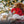 Wuff - Unsere Vierbeiner - Der Hundekalender- 2027 - Kalender