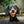 Wuff - Unsere Vierbeiner - Der Hundekalender- 2027 - Kalender