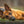 Wuff - Unsere Vierbeiner - Der Hundekalender- 2027 - Kalender