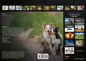 Wuff - Unsere Vierbeiner - Der Hundekalender- 2027 - Kalender