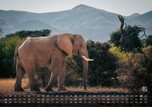 Elefanten - einzigartige Giganten - 2027 - Kalender