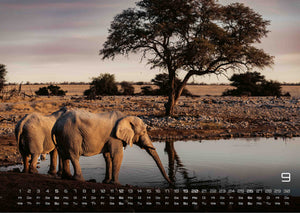Elefanten - einzigartige Giganten - 2027 - Kalender