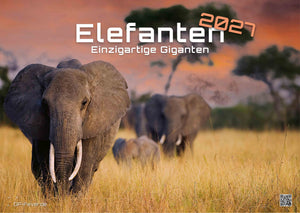 Elefanten - einzigartige Giganten - 2027 - Kalender