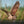 Eulen - Wächter der Nacht - 2027 - Kalender