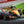 Formel 1 - Grand Prix - 2027 - F1 Kalender