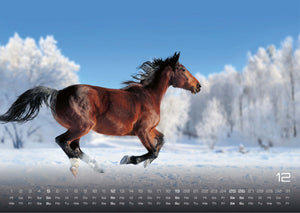 Pferdegeflüster - Der Pferdekalender - 2027 - Kalender