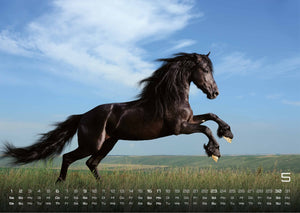 Pferdegeflüster - Der Pferdekalender - 2027 - Kalender