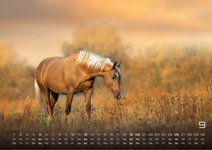 Pferdegeflüster - Der Pferdekalender - 2027 - Kalender