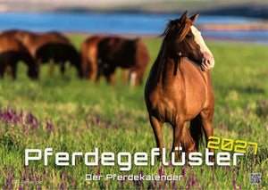 Pferdegeflüster - Der Pferdekalender - 2027 - Kalender