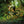 MTB | Mountainbike - 2027 - Kalender