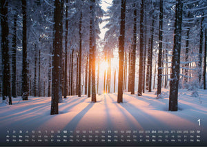 Moments - wundervolle Momentaufnahmen - 2027 - Kalender