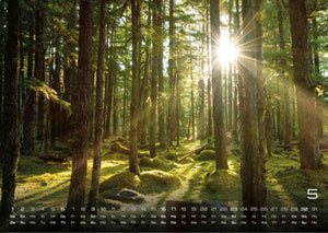 Moments - wundervolle Momentaufnahmen - 2027 - Kalender