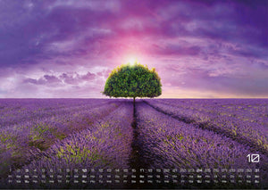 Provence - ein besonderes Stück Frankreich - 2027 - Kalender