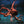 Sealife - verborgene Tiefen - 2027 - Kalender