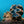 Sealife - verborgene Tiefen - 2027 - Kalender