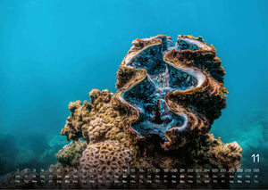 Sealife - verborgene Tiefen - 2027 - Kalender