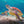 Sealife - verborgene Tiefen - 2027 - Kalender