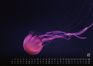 Sealife - verborgene Tiefen - 2027 - Kalender