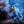 Sealife - verborgene Tiefen - 2027 - Kalender