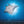 Sealife - verborgene Tiefen - 2027 - Kalender