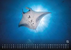 Sealife - verborgene Tiefen - 2027 - Kalender