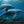 Sealife - verborgene Tiefen - 2027 - Kalender