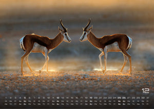 Afrikas Tierwelt - Der Tierkalender - 2027 - Kalender