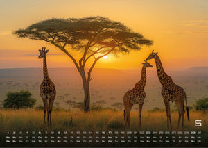 Afrikas Tierwelt - Der Tierkalender - 2027 - Kalender