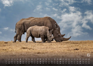 Afrikas Tierwelt - Der Tierkalender - 2027 - Kalender