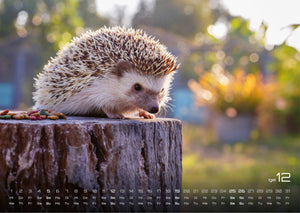 Waldtiere - Heimische Waldbewohner - Der Tierkalender - 2027 - Kalender