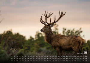 Waldtiere - Heimische Waldbewohner - Der Tierkalender - 2027 - Kalender