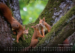 Waldtiere - Heimische Waldbewohner - Der Tierkalender - 2027 - Kalender
