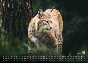 Waldtiere - Heimische Waldbewohner - Der Tierkalender - 2027 - Kalender