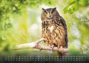 Waldtiere - Heimische Waldbewohner - Der Tierkalender - 2027 - Kalender
