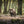 Waldtiere - Heimische Waldbewohner - Der Tierkalender - 2027 - Kalender