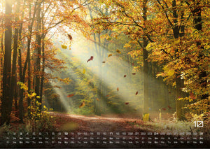 Wald - Erholung für Mensch und Tier - 2027 - Kalender