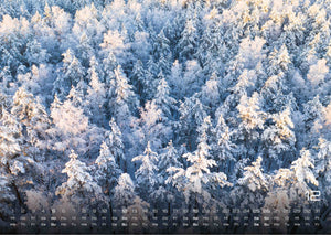 Wald - Erholung für Mensch und Tier - 2027 - Kalender