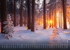 Wald - Erholung für Mensch und Tier - 2027 - Kalender