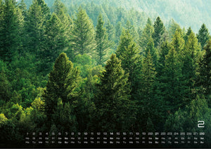 Wald - Erholung für Mensch und Tier - 2027 - Kalender