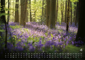 Wald - Erholung für Mensch und Tier - 2027 - Kalender