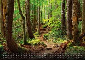 Wald - Erholung für Mensch und Tier - 2027 - Kalender