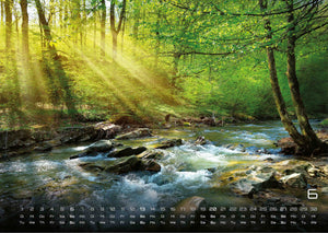 Wald - Erholung für Mensch und Tier - 2027 - Kalender