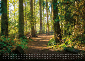 Wald - Erholung für Mensch und Tier - 2027 - Kalender